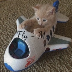 005 : Fly With Mew (Tap Sang Nhac)