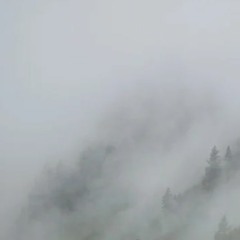 Fog