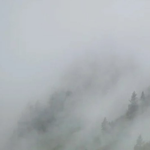 Fog