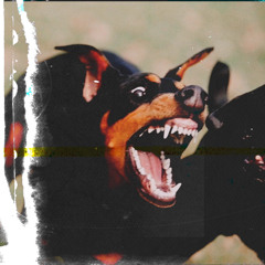 Last Chantz x Snitching Freestyle