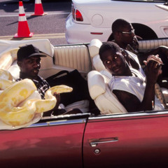 mind the snakes (boom bap freestyle type beat)