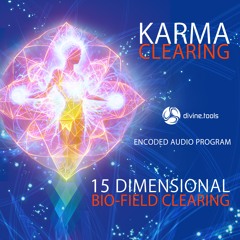 5 Minute Demo - Automated Karma Clearing (www.divine.tools)