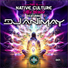 DJ Animay - Native Culture Mix Series 001