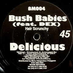 Bush Babies ft. Dex - Delicious (Dave Randall Mix)(1996)