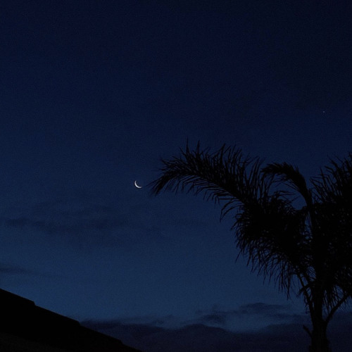 la petite fille de mer - vangelis ( slowed )