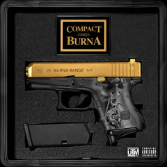 More Money More Life