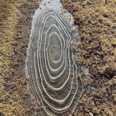 Outsiders: Siren Calls - Summon your inner healer through sound w/ NiXiE @ Kiosk Radio 19.10.2024