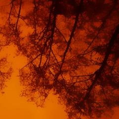 it doesn't really matter, it will all work out (wip2)