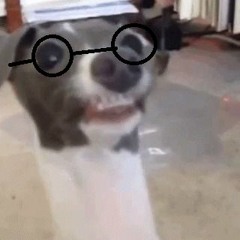 UriNate On The Dog - Icetstraw