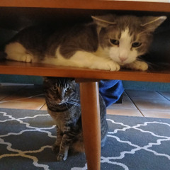 Monuments Are Floating