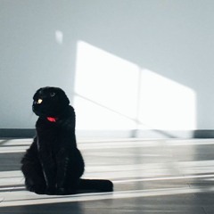 MIUKI
