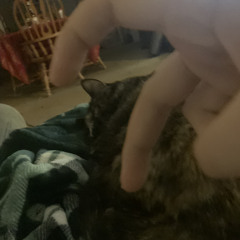 Cigarettes and Crystal Necklaces