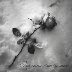 Only Roses Stain The Snow