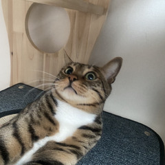 속마음