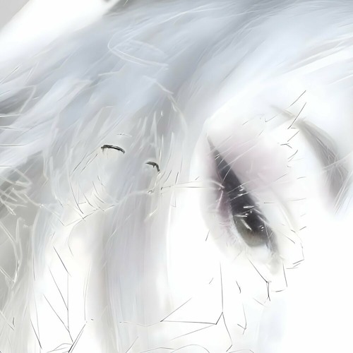 dskxo - catalyst