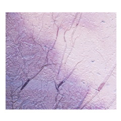 Look At Orchid Swarming With Wasps