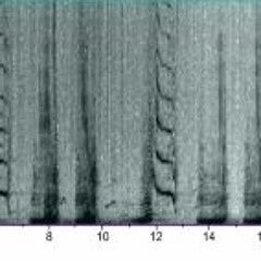 A spectogram of humpback whale song recorded by UQ's Dr Jenny Allen