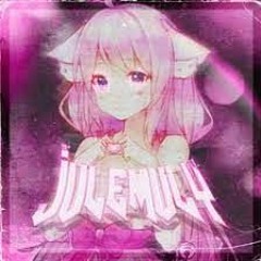 TTR1PI - JULEMULY