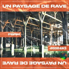 PBRM - Voyage Dans Un Paysage De Rave [DSD008] | Free Download |