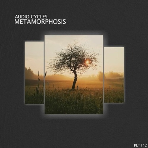 Metamorphosis (Original Mix)