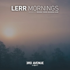 DHB Premiere: Lerr - Mornings (RIGOONI Remix) [3rd Avenue]