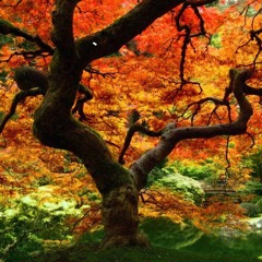 Progressive Autumn Mix 2020