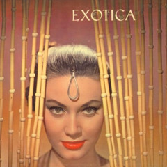 DL88 - Exotica (Original Mix)