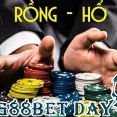 Gợi ý cách chơi rồng hổ hiệu quả tại Bong88
