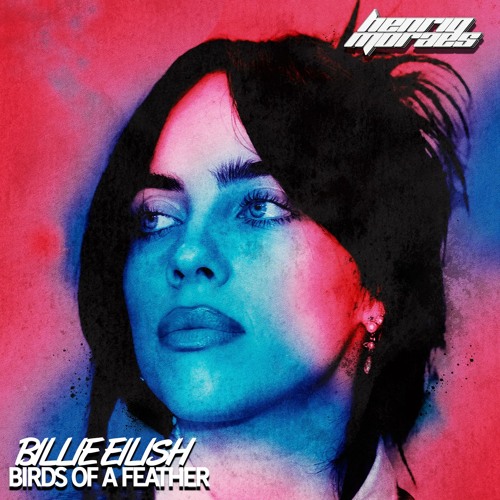 Billie Eilish - BIRDS OF A FEATHER (HenriqMoraes Mix) EXTENDED BUY DOWNLOAD