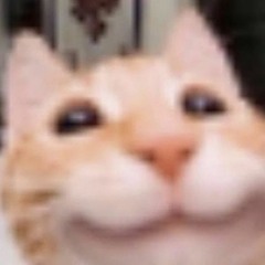 Shadow Fight 2 Tournament Act 1 Theme Ninja in the Night