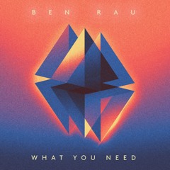 Ben Rau - What You Need (INKAL008) [clip]