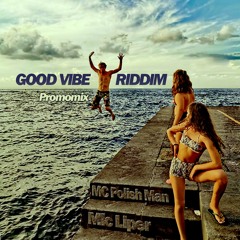 Good Vibe riddim promomix - Skank Ranger x Mc Polish Man x Mic Liper