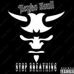Stop Breathing Remix