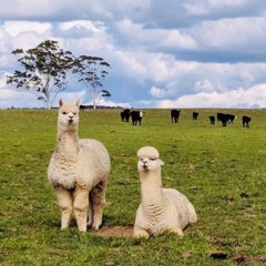 ( demo ) it never really works out