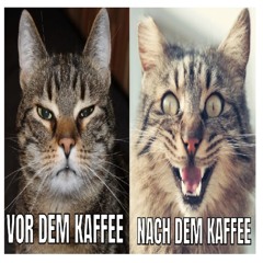 Sie Ist Auf Meinem Dick Drauf ft. squarehz