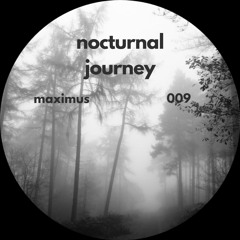 nocturnal journey - mix 009