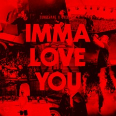 Tungevaag x Steerner  Imma Love You (Tigo92 Remix