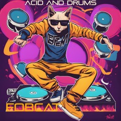 FobCat Acid And Drums (120 BPM)