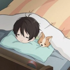 Attempts Of Coziness