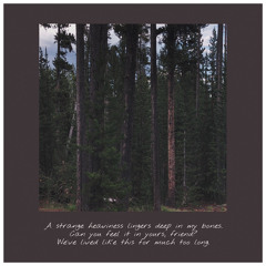 a strange heaviness lingers deep in my bones. can you feel it in yours, friend?