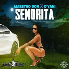 Senorita (Wockesha Remix)