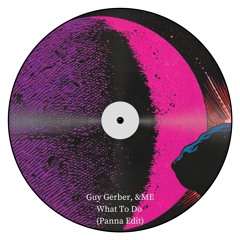 Guy Gerber, &ME - What To Do (Panna Edit) [Free Download]