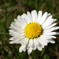 fck the oppressors.., mix 25.2 RPM cafe, Prague, july 25