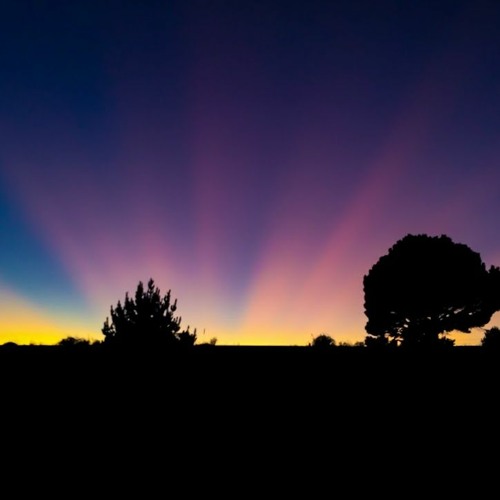 Icy Impasse (C61 x SubiCat Collab)