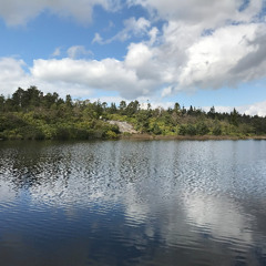 June 2025 mix (feat. Sasha, Paul Thomas, Estiva, Darren Tate & more)