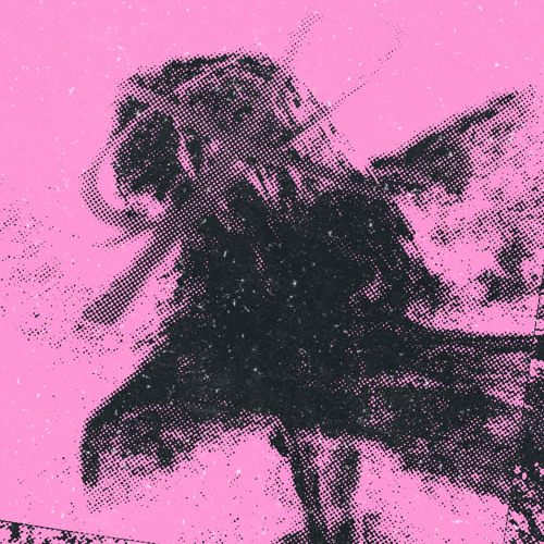 “NASTITA”