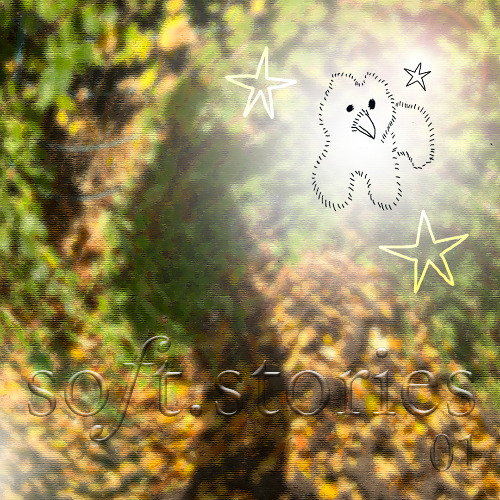soft.stories  ੈ✩‧₊˚.01