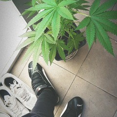 La Callenmedio - Mariwuana