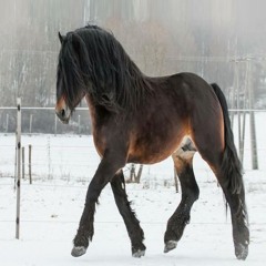 #whenilove (p. isai)