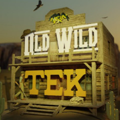 NeinTk  - Old Wild Tek